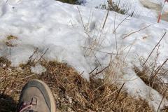 1d09c146-bfaf-46a3-ba68-994df1c271c3