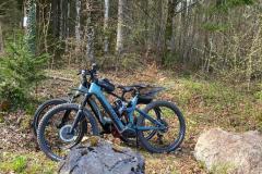 024756f9-cdb6-4284-878b-bda368c608ef