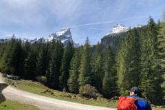 9bf6a14d-d852-4db9-995e-02658339fbf9