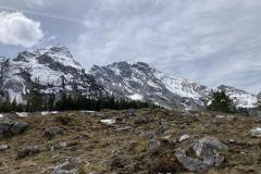 b9a5e440-c82d-431f-9417-ffe22a8d253b