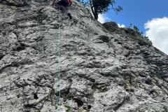 17522217-d353-4f10-8389-9f84d9cfbda6