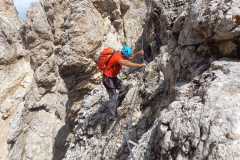 2d88ea77-a494-4c2e-a9d5-10b13ea5f136