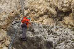 47e82de7-fdd6-4e66-8da6-4f82c639a1fa