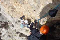 50c89049-25dc-4d6d-947b-ee4eca3566aa