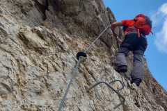 c5d5ea5f-de55-43d2-812b-a8a8ce636aa7