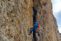 017d7bcb-31f1-4418-b3c0-d62df2890c6c