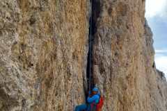 18649193-8337-4c64-af9d-9f21c36ab517