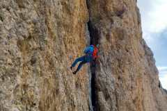 54b98ad7-a1cd-4a57-ae04-b704758a52ea