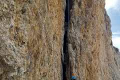 56399ab5-d7e7-4614-9a01-9c053c92b252