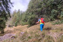 6ddd2e4f-f041-47b7-bd5a-b55e5394eb0f