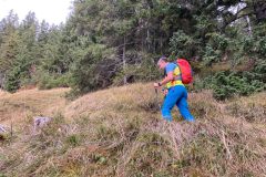 6e0830a8-07bb-4077-a3e1-d2195b3c7afb