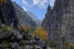 2e35da79-a298-4641-beeb-e0b5eeba4a76