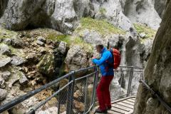 37fc8e54-b22e-4d93-9095-2a13d47e6b9e