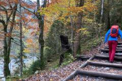 afa3759a-aa40-4298-9b36-5e84f78c942b